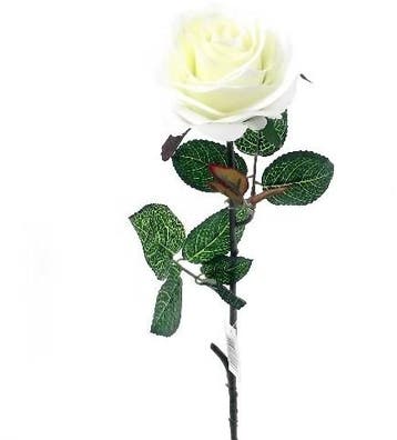 Zijden Roos Wit open met blad per stuk, Ophalen of Verzenden, Nieuw
