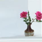 Zonwerende raamfolie heldere doorkijk! Zonwering glasfolie, Nieuw