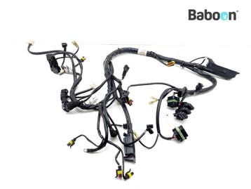 Kabelboom Ducati ST 4 1998-2003 (ST4), Motoren, Onderdelen | Ducati, Verzenden, Gebruikt