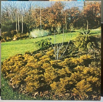 Hipshakes - Maximum Growth And Vigour, Ophalen of Verzenden, Gebruikt