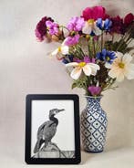 Ets Aalscholver, tetrapak, handgemaakt, incl. zwarte lijst, Minder dan 50 cm, Oorspronkelijke maker, Verzenden, Nieuw