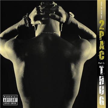 2Pac - The Best of 2Pac -  Pt. 1: Thug - CD, Cd's en Dvd's, Ophalen of Verzenden, Nieuw in verpakking