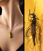 Warme honing Baltisch amber hanger – mugfossiel – elegante