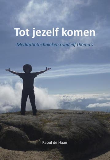 Tot jezelf komen - Raoul de Haan 9789089547897, Boeken, Verzenden, Zo goed als nieuw, Raoul de Haan