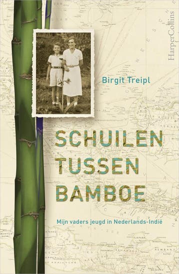 Schuilen tussen bamboe (9789402705638, Birgit Treipl), Verzenden, Nieuw
