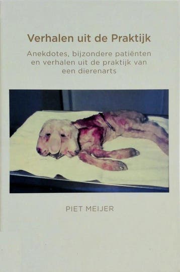 Verhalen uit de praktijk - Piet Meijer 9789403662268, Boeken, Verzenden, Gelezen, Piet Meijer