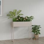 Plantenstandaard Joensuu 80x80x25 cm staal lichtgrijs [en.ca, Tuin en Terras, Bloempotten, Verzenden, Nieuw