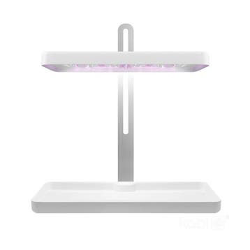 LED Kweeklamp BLOOM 20W - 3500K - Complete Set voor Kruid..., Ophalen of Verzenden, Nieuw