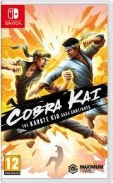MarioSwitch.nl: Cobra Kai: The Karate Kid Saga Continues, Spelcomputers en Games, Games | Nintendo Switch, Zo goed als nieuw, Ophalen of Verzenden