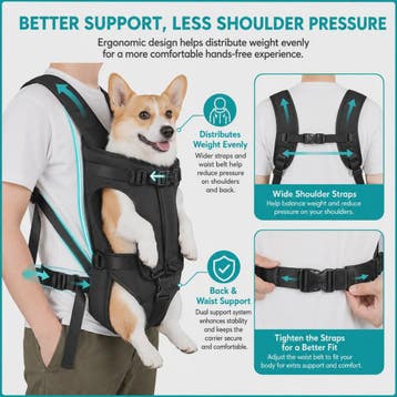 Draagbare Honden Rugzak Carrier voor Katten en Honden - Comf, Verzenden, Nieuw
