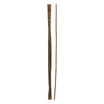Plantenstok | Gardalux | 116 cm | 10 stuks, Tuin en Terras, Planten | Tuinplanten, Verzenden