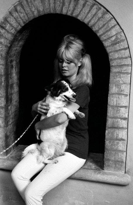 Patrick Morin - Brigitte Bardot, Antiek en Kunst, Kunst | Designobjecten