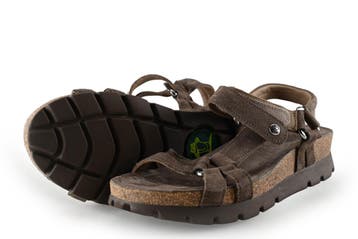 Panama Jack Sandalen in maat 37 Bruin, Kleding | Dames, Schoenen, Bruin, Verzenden, Sandalen of Muiltjes, Zo goed als nieuw