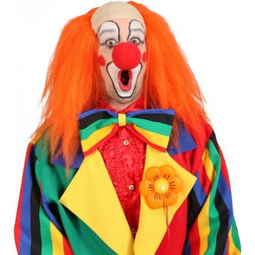 Oranje clowns pruik - Pruiken unisex, Verzenden, Nieuw