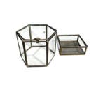 Vitrine (2) - Glas, Messing - Glazen doos, Nieuw