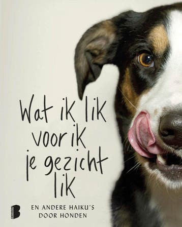 Wat ik lik voor ik je gezicht lik (Goed), Verzenden, Gelezen, Jamie Coleman