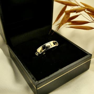 Bicolor gouden schuifbare ring met palladium, Gebruikt, Ophalen of Verzenden, Kleiner dan 17, Dame of Heer