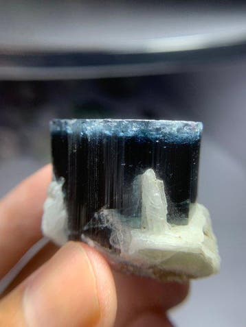 Natuurlijke Blauwe Kap Toermalijn Kristal op Matrix –