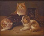 J.J. Hovener (1936–2021) - Drie spelende kittens bij een