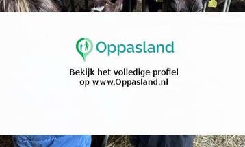 Robin zoekt een oppas in Veldhoven voor 2 kinderen., Vacatures