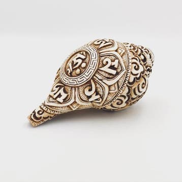 Oud-Tibetaans of Nepalees Conchschaal Ritueel talisman met