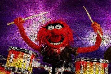 David Law (1967) - Crypto Animal Drummer - Muppets Show