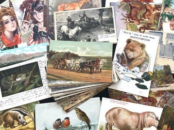 wereld - Dieren - Fauna. Wilde dieren en huisdieren. -, Gelopen