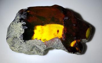 Mexicaanse amberfossiel Chiapas!! AAA- 42 g