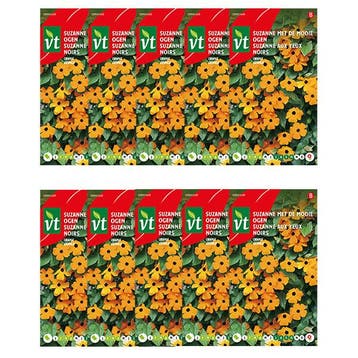 Bloemzaden Suzanne met de mooie ogen | VT | 10 stuks, Verzenden