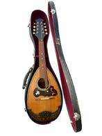 Suzuki Violin Co., Ltd. - No.208 (1963) - - Mandoline -, Nieuw