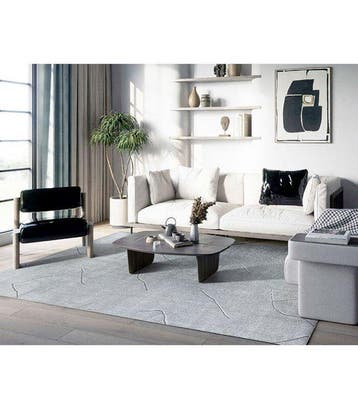Kol. Raíces Plata - Vloerkleed - 290 cm - 200 cm, Nieuw
