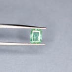 Groen Smaragd - 1.11 ct - International Gemological, Nieuw