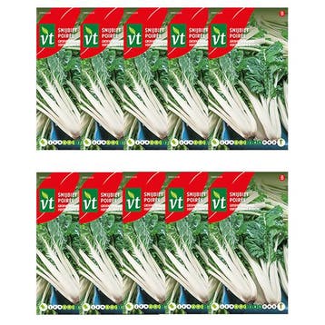 Bietenzaad | VT | 10 stuks (Snijbiet), Verzenden