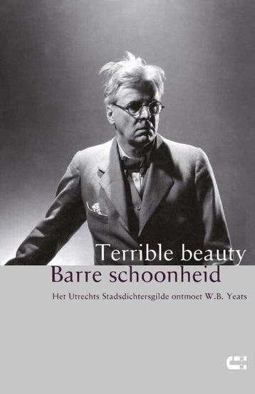 Terrible beauty, Barre schoonheid 9789086841189, Verzenden, Zo goed als nieuw, Peter Drehmanns