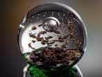 Selkirk Glass - Peter Holmes - Presse-papier - Golden Reef, Antiek en Kunst, Antiek | Glas en Kristal