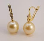 Oorbellen - 14 karaat Geel goud, 11×12 mm gouden Zuidzee, Sieraden, Tassen en Uiterlijk, Oorbellen, Nieuw