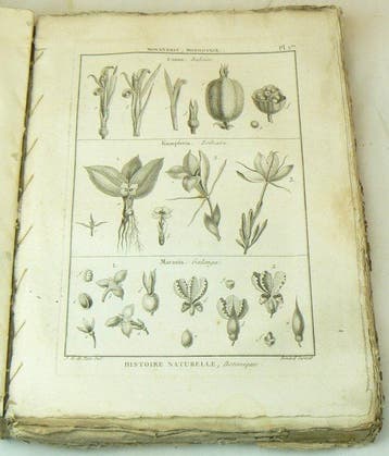 Jean-Baptiste Pierre Antoine de Monet, chevalier de Lamarck, Antiek en Kunst, Antiek | Boeken en Bijbels
