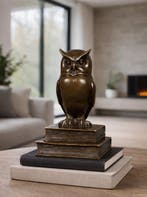 sculptuur, The Wise Owl - 22 cm - Gepatineerd brons