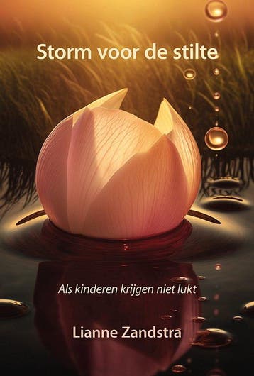 9789463657716 Storm voor de stilte | Tweedehands, Verzenden, Zo goed als nieuw, Lianne Zandstra