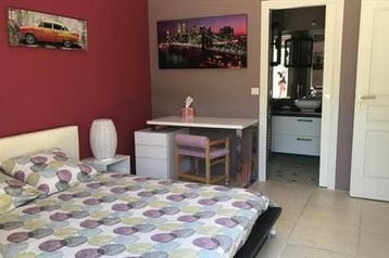 Te Huur Studio Berkenbosch Blokstraat In Den Haag, 35 tot 50 m², Den Haag