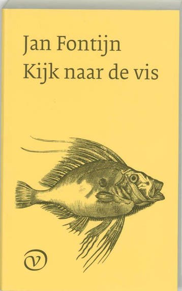 Kijk naar de vis - J. Fontijn 9789028209978, Verzenden, Zo goed als nieuw, J. Fontijn