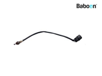 Lambda Sonde Harley-Davidson XL 883 L Sportster SuperLow, Verzenden, Gebruikt
