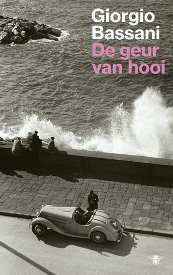 De geur van hooi / De Ferrara romans - Giorgio Bassani, Verzenden, Zo goed als nieuw, Giorgio Bassani