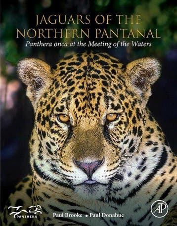 9780128221389 Jaguars of the Northern Pantanal, Verzenden, Nieuw, Paul Brooke