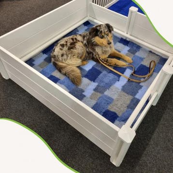 Werpkist Topmast Kunststof PVC – Werpkist voor Honden met., Dieren en Toebehoren, Verzenden, Nieuw
