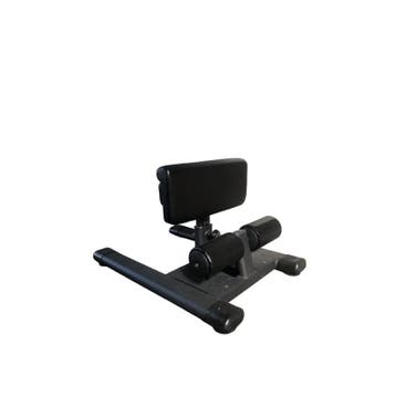 Gymfit - Sissy Squat Station, Sport en Fitness, Fitnessmaterialen, Ophalen of Verzenden, Nieuw