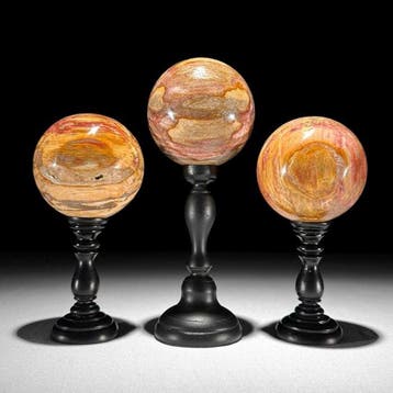 Prachtige set van 3 versteend hout-stukken - Gefossiliseerd