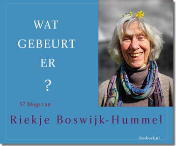 Wat Gebeurt Er? | Riekje Boswijk-Hummel | Nieuw, Boeken, Ophalen of Verzenden, Nieuw, Riekje Boswijk-Hummel