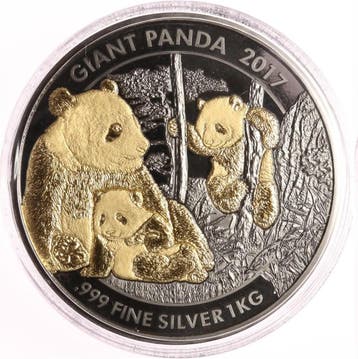 Cameroon Giant Panda 1 kg 2017 Golden Enigma, Verzenden, Losse munt, Zilver