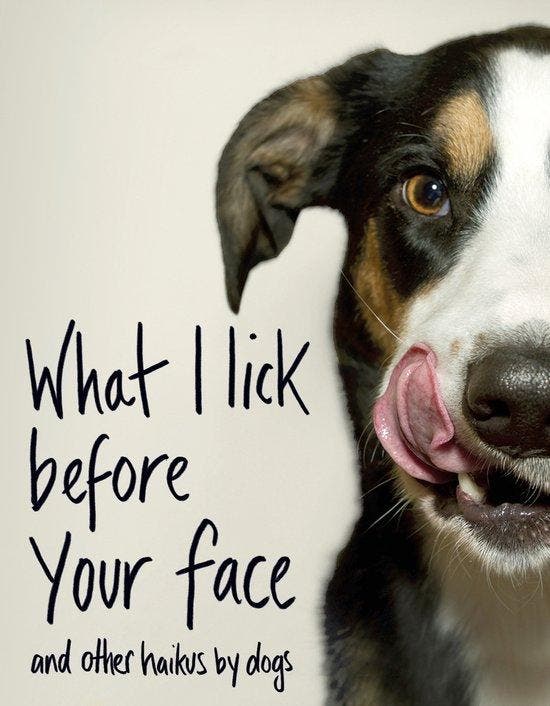 What I Lick Before Your Face ... and Other Haikus By Dogs, Boeken, Taal | Engels, Zo goed als nieuw, Verzenden